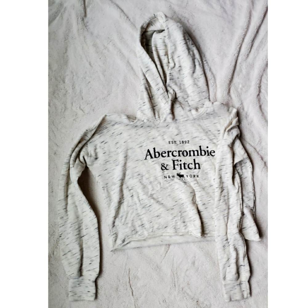 Abercrombie and Fitch Cropped Logo Hoodie